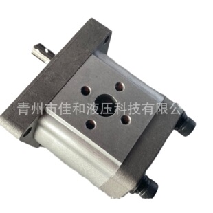 液压齿轮泵CBT 拖拉机用高压油泵 F550