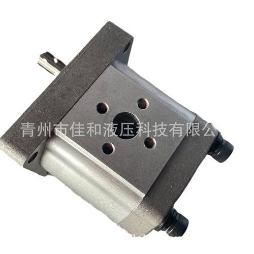 液压齿轮泵CBT-F550    拖拉机用高压油泵