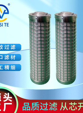 供应高压泵站滤芯2110210煤机滤芯反冲洗滤芯