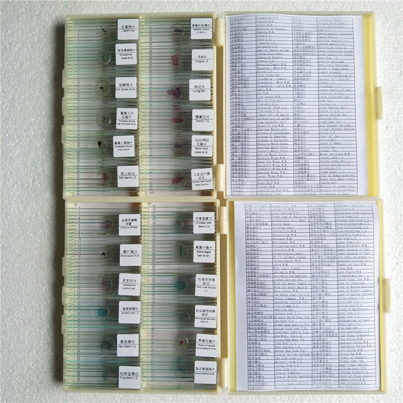 j4216草履虫装片中学科学教学生物切片玻片动物显微玻片标本