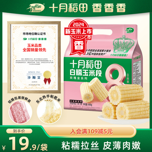 2024年新玉米十月稻田白糯玉米段8段皮薄肉嫩东北软糯香甘甜官方