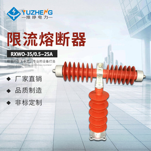 35KV RW10 0.5A RW9 35KV户外限流熔断器 40.5KV RXWO