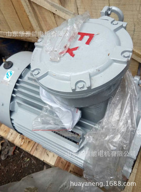 YH-355M1-8-185KW电机货期一周YSF电机符合绿色中国战略