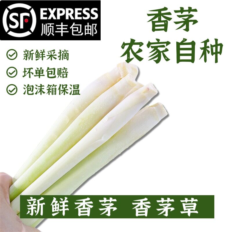 新鲜香茅草奶茶店调料泡茶