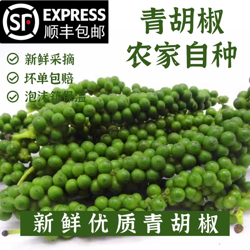 青绿胡椒泰国餐厅用猪肚鸡煲汤料