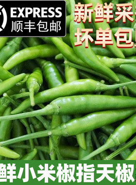 小米椒青尖椒指天椒青米椒小青椒
