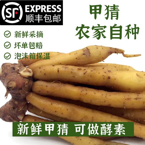 新鲜甲猜泰国餐厅食材可做酵素