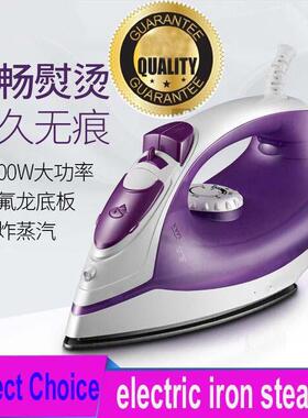 electric compact iron steam soleplate clothes steamer 电熨斗