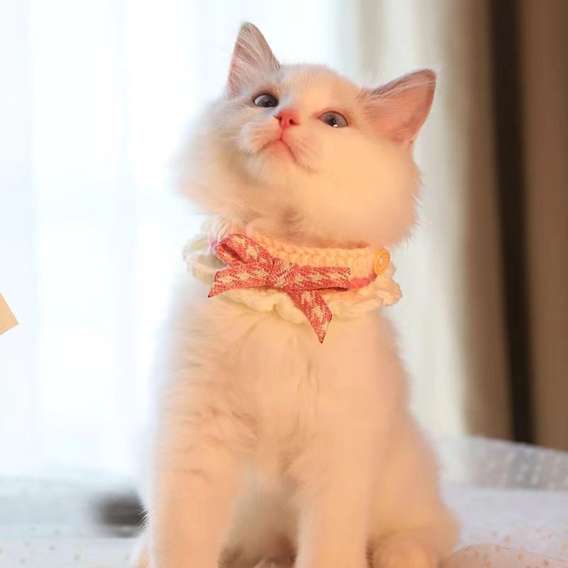 小型犬围巾饰品手工针织蝴蝶结猫咪项圈猫狗可爱气质宠物围脖