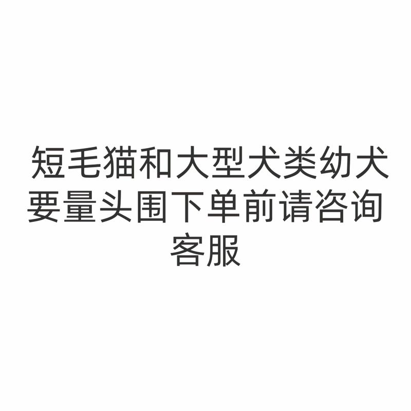 比熊韩系小熊格子渔夫帽猫狗宠物ins风围兜三角巾可爱配饰