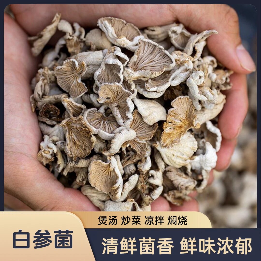白参菌裂褶菌白色菌菇蘑菇干货云南菌子干货凉拌炖汤炒菜焖炸蒸煮