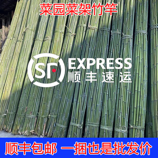 竹竿棍菜园爬藤架搭架子竹子杆蔬菜架竹黄瓜豆角庭院栅栏竹竿篱笆