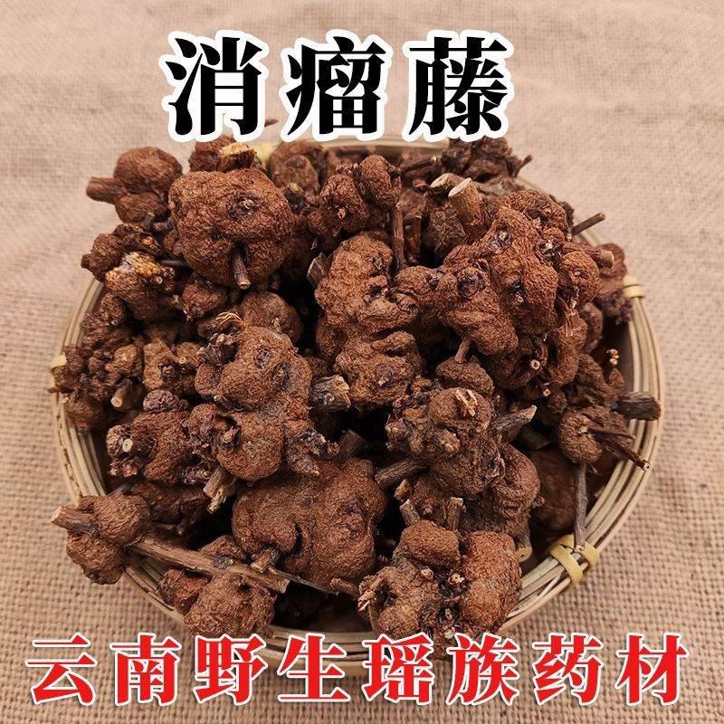 云南瑶族消瘤藤 消瘤子整颗野生金丝桃九头狮子草黄花香果