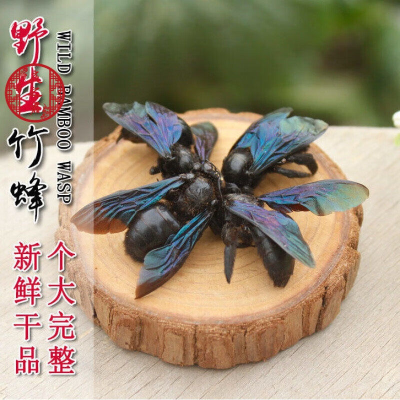 广西竹蜂20只大盐竹蜂乌蜜蜂竹筒蜂材咸竹蜂泡水声哑咽痛 【咸竹