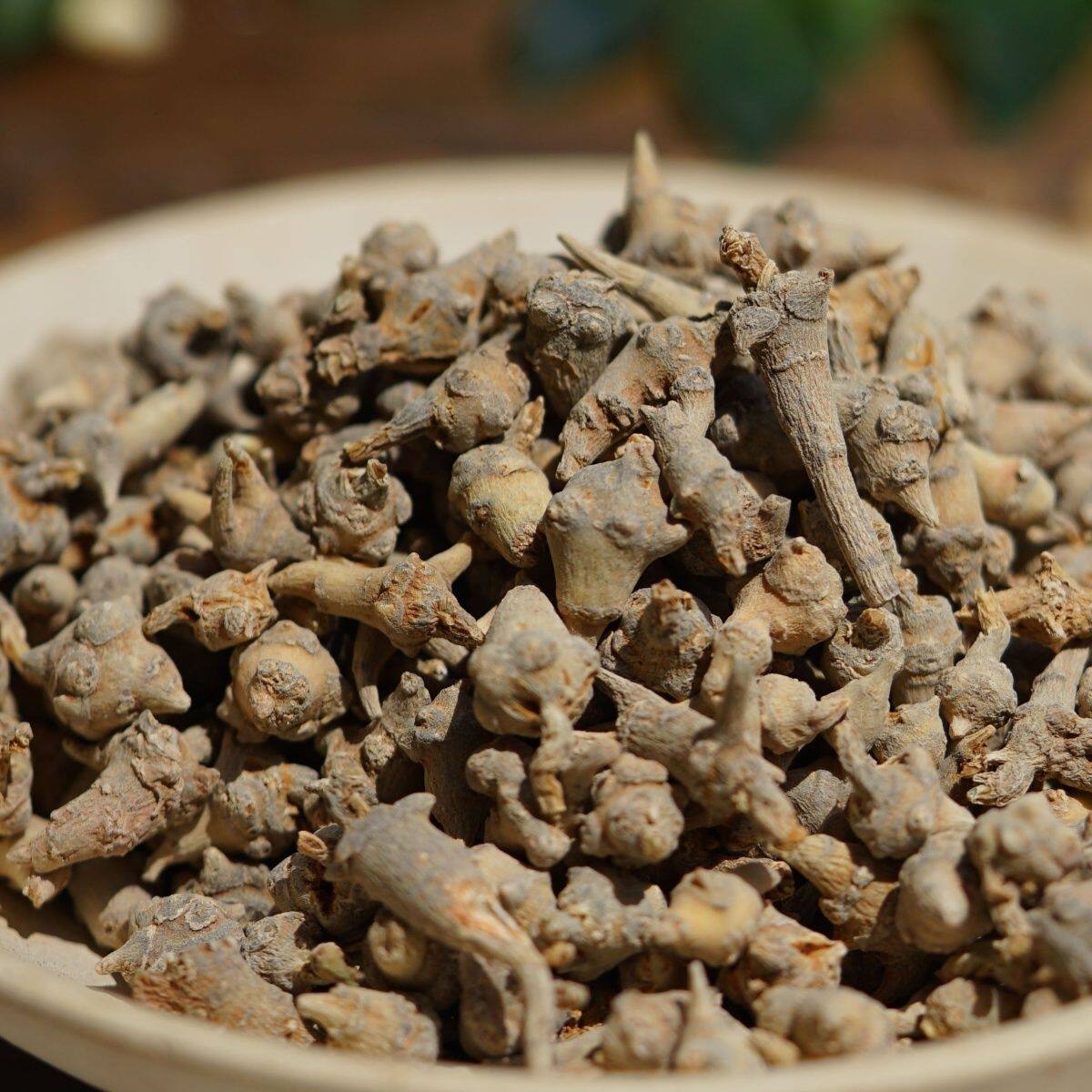 【农家野生】藏三七参   250克