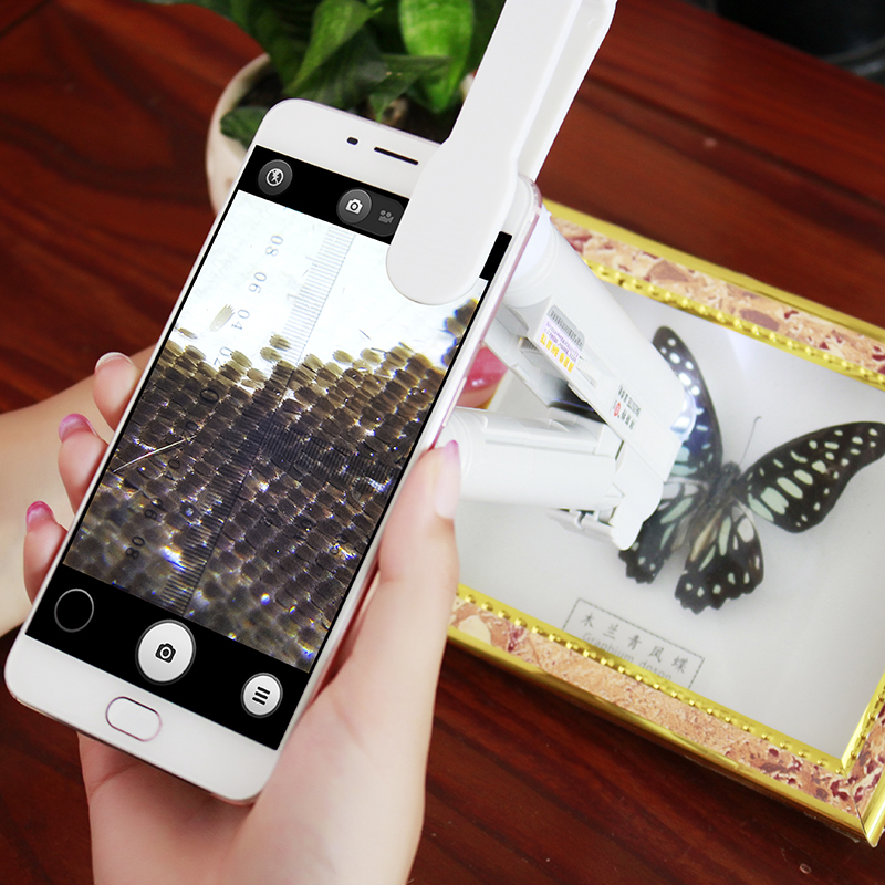 40倍放大镜带灯读数刻度手机显微镜便携手持检测印刷品鉴定珠宝