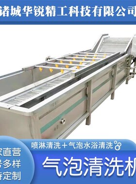 果蔬鼓泡气泡清洗机喷淋式瓜果洗菜机蔬全自加动FHR冷却机工流菜