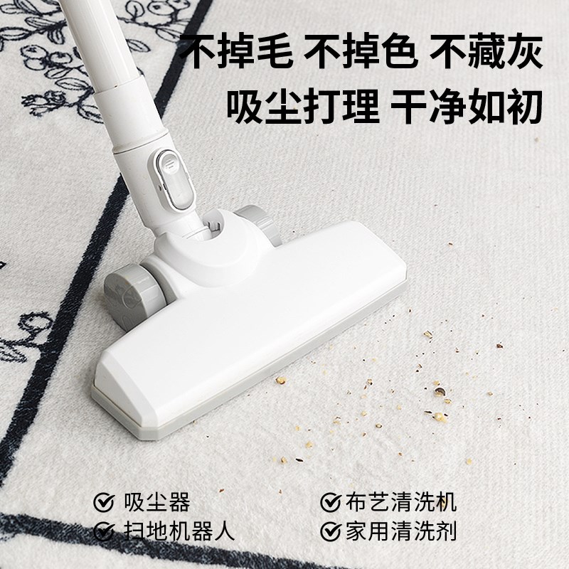 异形地毯卧室床边地垫2p024新款轻奢高级感复古法式房间免洗床边