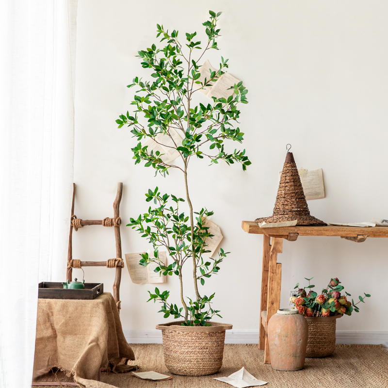 侘寂风仿真c绿植冬青树室内客厅装饰落地假植物盆栽橱窗造景摆件