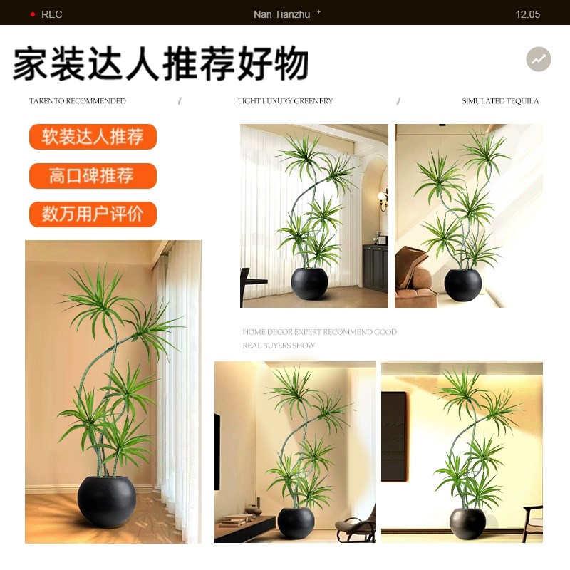 轻奢客厅仿真绿植龙m血树龙舌兰假树植物盆栽室内装饰落地盆景摆