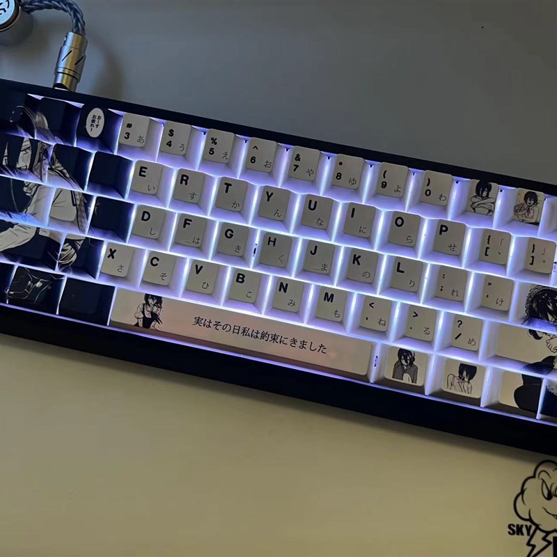 蕾塞主题键帽 五面热升华  适配87以下键盘R 带增补 全新现货