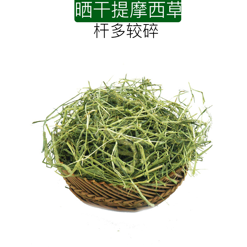 2024提摩西草干草兔粮龙猫草荷兰猪兔兔干草豚鼠牧草晒干北提之满