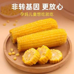 NIK当0季 低脂黄大棒甜东北黏 新米货东北黄糯玉棒1支黄金铝箔糯装