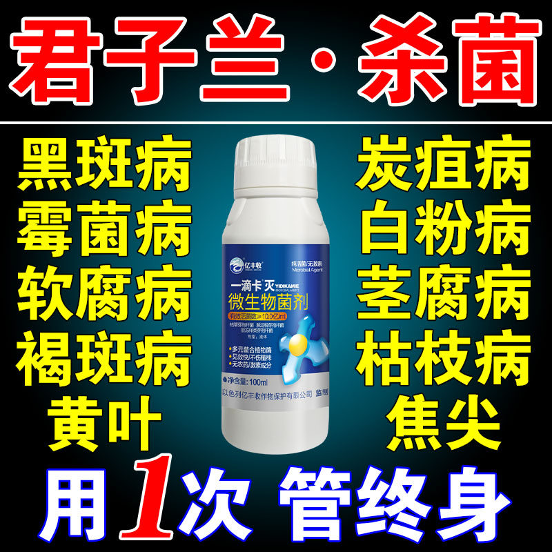 君子兰杀菌药黄叶焦尖烂根黑斑病枯草芽孢菌杆菌兰花专用营养液X