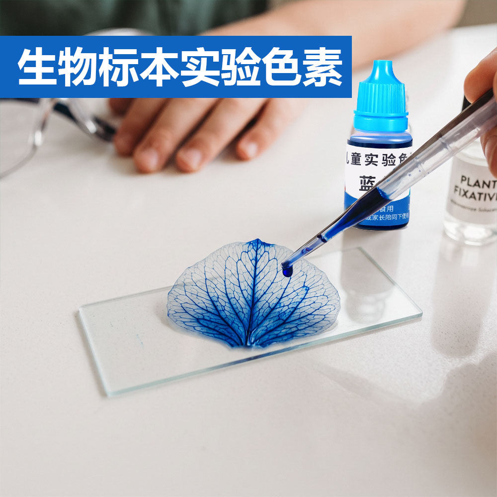 儿童生物标本扎染色素套装