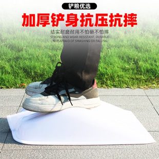 钢化锨透明大锨塑料铲子铲屯粮塑料雪粮铲清粪铲铲锹塑料茶叶食