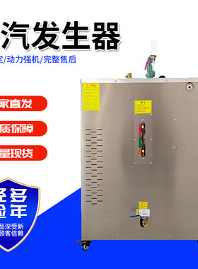 电加热桥梁养护蒸汽机 36kw电热蒸汽养生机 80kg燃油蒸发器