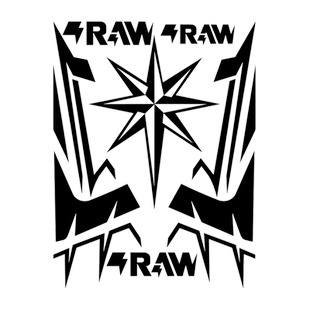 适用摩托车头盔SHOEI/GSB/LS2/K1贴纸RAW贴花版画装饰防水改装件