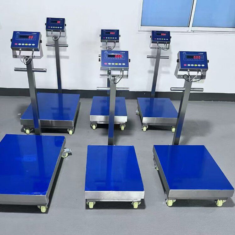 500mm*700mm300公斤移动式电子台秤防水不锈钢本安型移动式轮子秤
