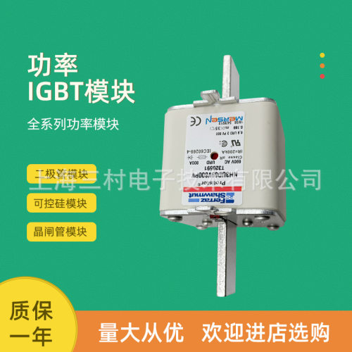 全新熔断器保险丝NH2GS69V200PV NH2GS69V250PV NH2GS69V315PV