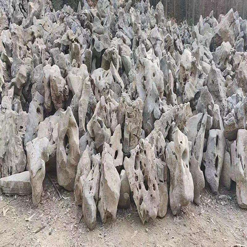 英德太湖石景石灵璧观赏窟窿石园林假山石造景现货场地石料