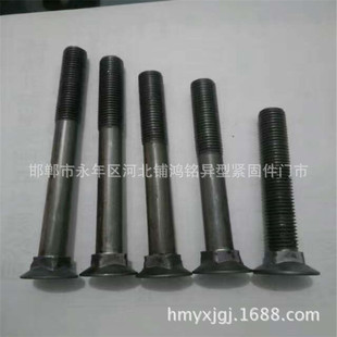 犁尖螺栓 现货供应M6 高强度马车螺栓 犁尖丝 欢迎选购 M24马车栓