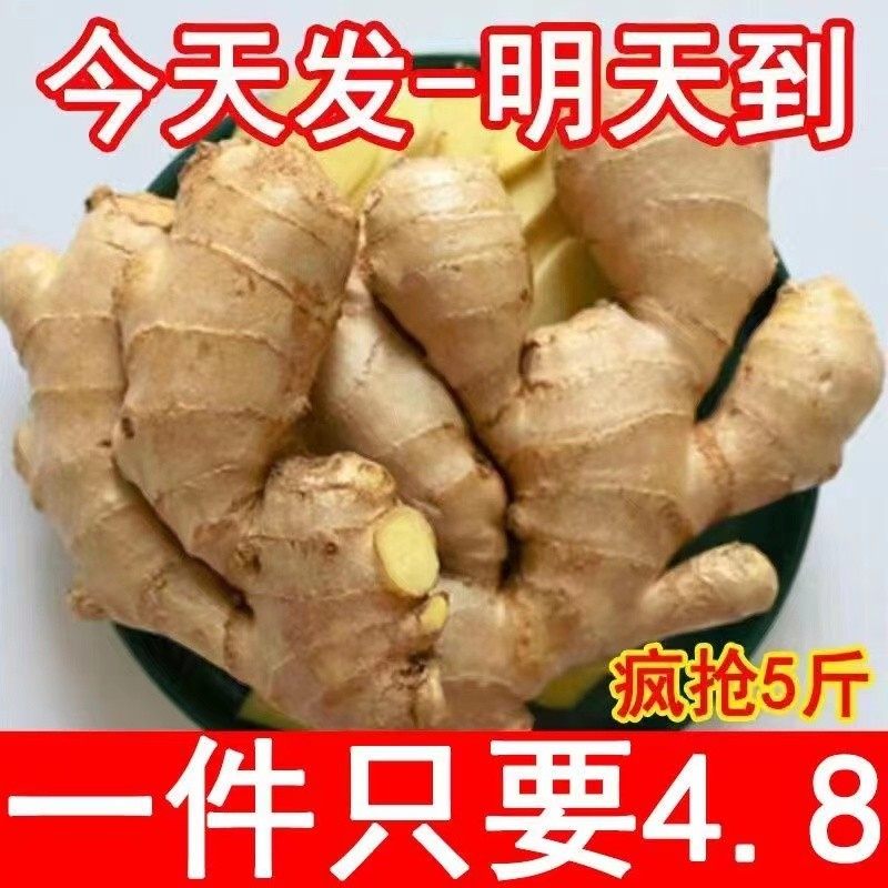 新鲜老姜正宗生姜5/9斤现挖云南高山小黄姜月子农家整箱包邮蔬菜