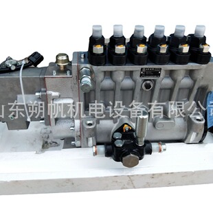 淄柴Z6170ZLD发电机组龙泵BP6104 F3电调喷油泵总成 孚创A2000C