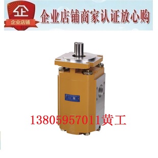 CBKP80 BFP CBKP40 HCHC长源齿轮泵CBKP80