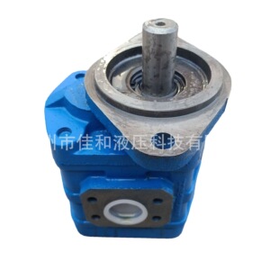 厂家供应管路抓举车液压泵   CBGJ2025