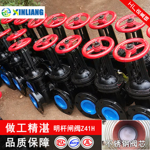 闸阀Z41H 10明杆闸阀铸铁法兰闸阀DN200250300350400500锁闭阀