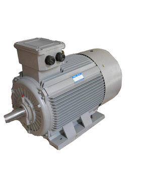 YGM2-315L1-8/90KW紧促型三相异步电机保障