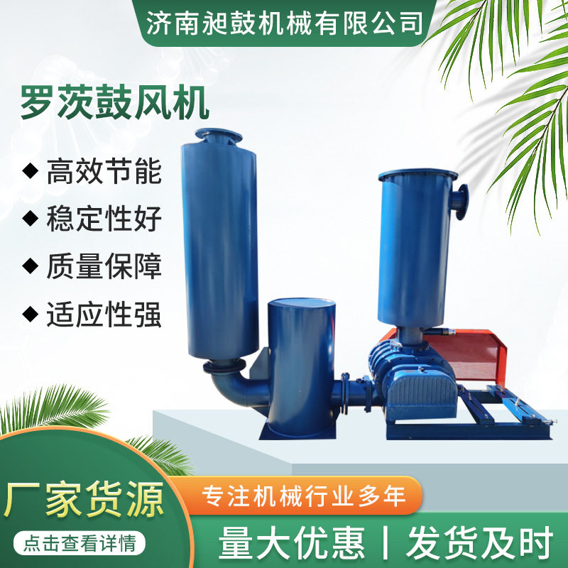 罗茨鼓风机 污水处理曝气风机 高压大风量洗煤风机