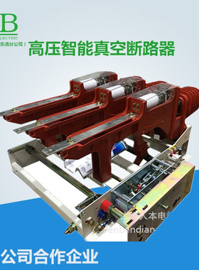 FN12-12RD125户内高压负荷开关FKN12-12kv630a负荷开关10kv