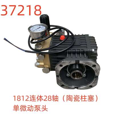 1812连体28轴（陶瓷柱塞）单微动泵头（相距9对角13）-37218号