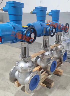 矿用隔爆型不锈钢电动闸阀 MAZ941H-25P DN250