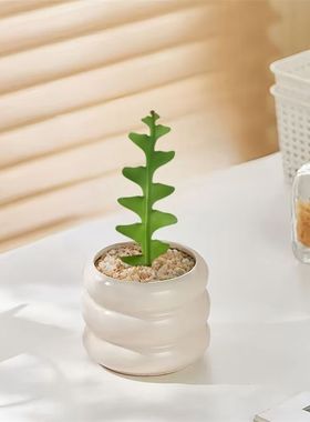 鱼骨令箭稀有品种多肉植物懒人新手好养锯齿昙花绿植开花耐旱盆栽