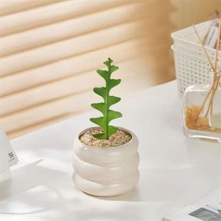 鱼骨令箭稀有品种多肉植物懒人新手好养锯齿昙花绿植开花耐旱盆栽