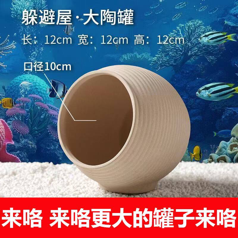 陶瓷躲避屋大口径鹦鹉鱼鱼缸造景摆件繁殖罐陶瓷收纳罐躲避小屋