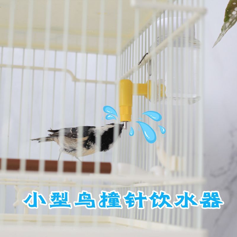山雀贝子鹦鹉黄雀小型鸟观赏鸟专用撞针饮水器防污染外挂自动水罐